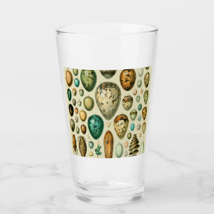 Huevos de Pájaros Antiguos Arte de Huevas de Pesca