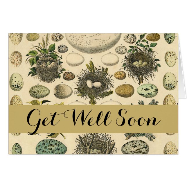 Huevos de pintura de arte de nido de ave de ave vi (Anverso (Horizontal))