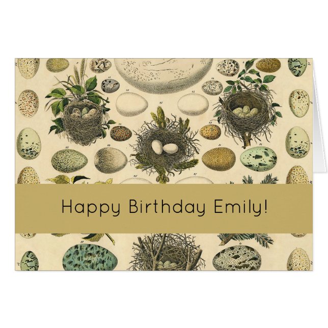 Huevos de pintura de arte de nido de ave de ave vi (Anverso (Horizontal))