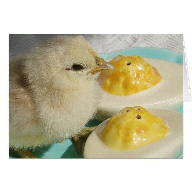 Huevos de polluelo y desvaudado 2 (Anverso (Horizontal))