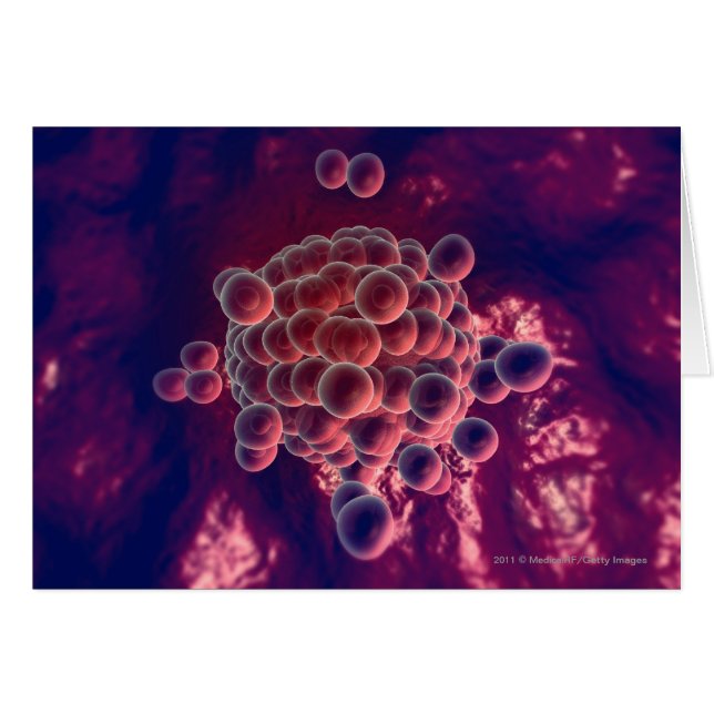 Huevos en un huevo (Anverso (Horizontal))