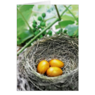 Huevos Golden Nest