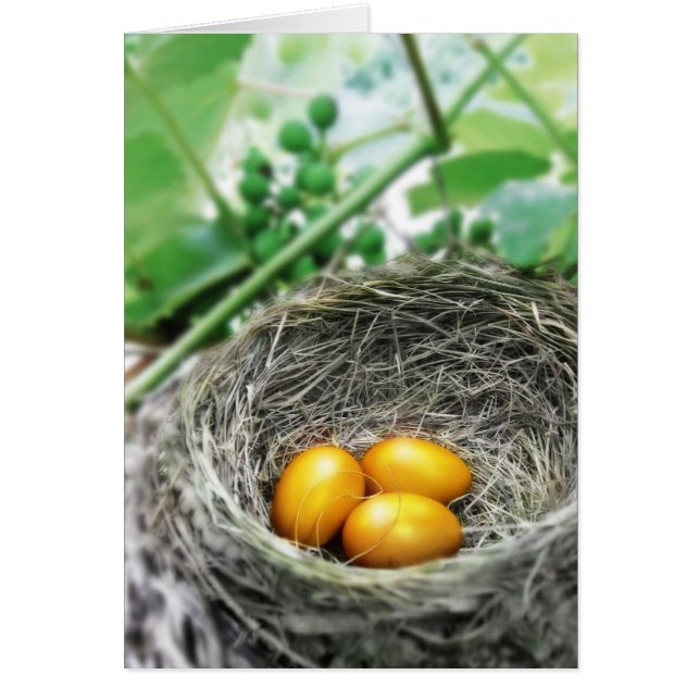 Huevos Golden Nest (Frente)