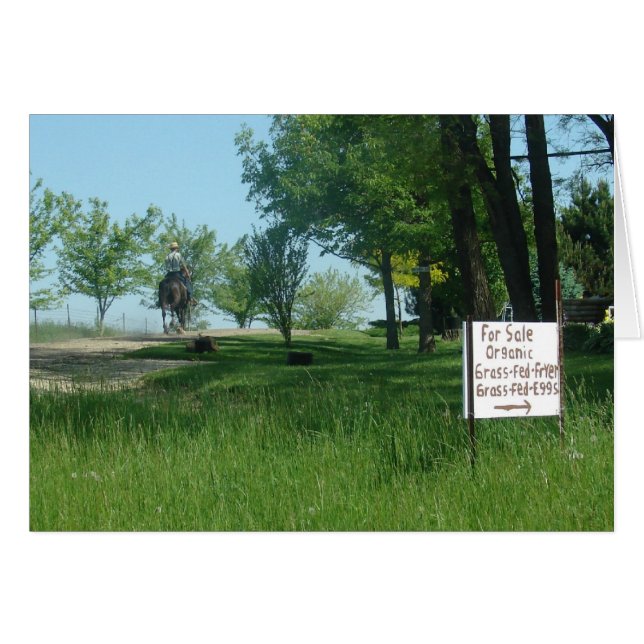 Huevos orgánicos de la Reserva Federal de Grass (Anverso (Horizontal))