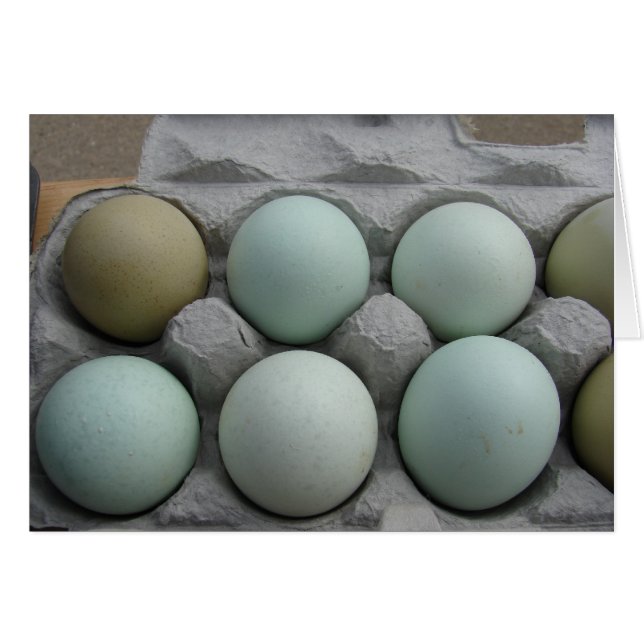 Huevos verdes y olivos (Anverso (Horizontal))