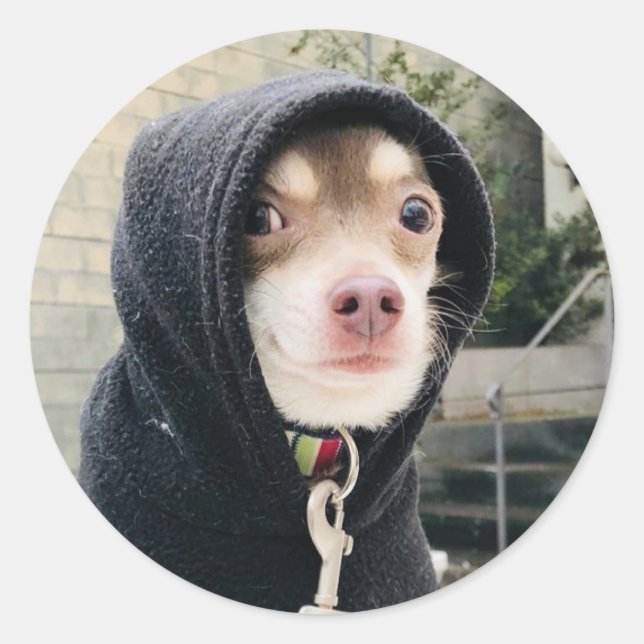 ¡¡Huey con Pegatinas disfrazados!! (Anverso)