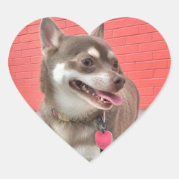 ¡Huey tiene mis Pegatinas del corazón!