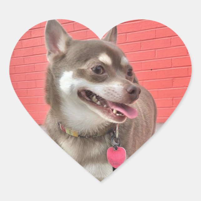 ¡Huey tiene mis Pegatinas del corazón! (Anverso)