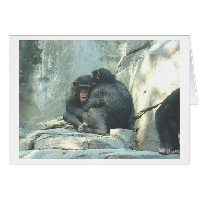 Huggin Chmps (Anverso (Horizontal))