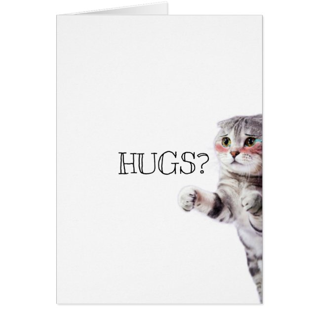 ¿HUGS? Gatito (Frente)