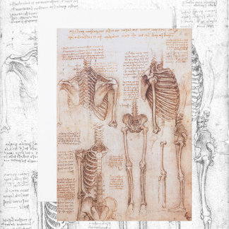 Human Anatomy Skeleton Bones by Leonardo da Vinci