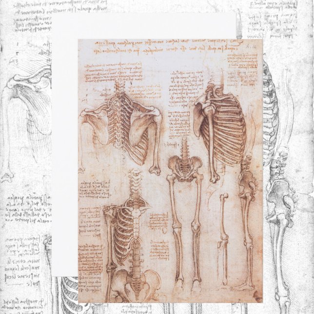Human Anatomy Skeleton Bones by Leonardo da Vinci (Subido por el creador)