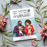 Humanos casándose invitación de fotos de mascotas<br><div class="desc">Incluya sus animales domésticos (perros, gatos o cualquier otro animal) en la preparación de su boda con esta postal divertida e informal de guardar la fecha. Perfecto para cualquier amante de las mascotas, la parte delantera de esta tarjeta de invitación es fácilmente personalizable con una de sus fotos favoritas de...</div>