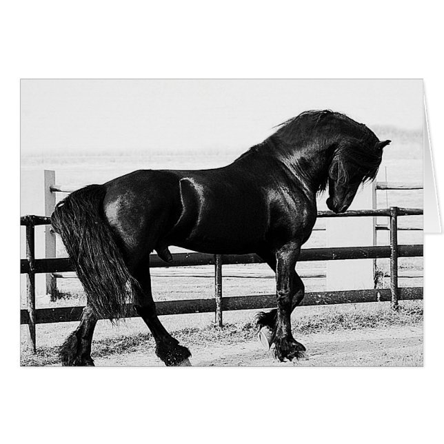 Humilde (Anverso (Horizontal))