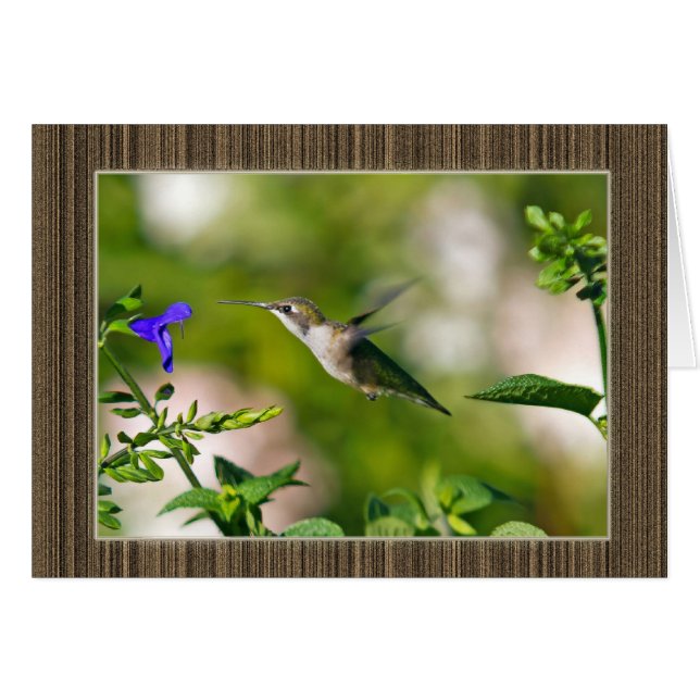 Hummingbird (Anverso (Horizontal))