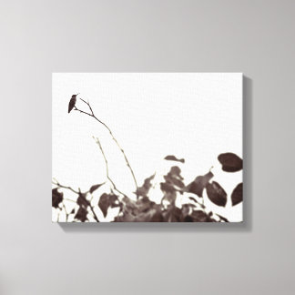 Hummingbird 14x11 Lienzo envuelto