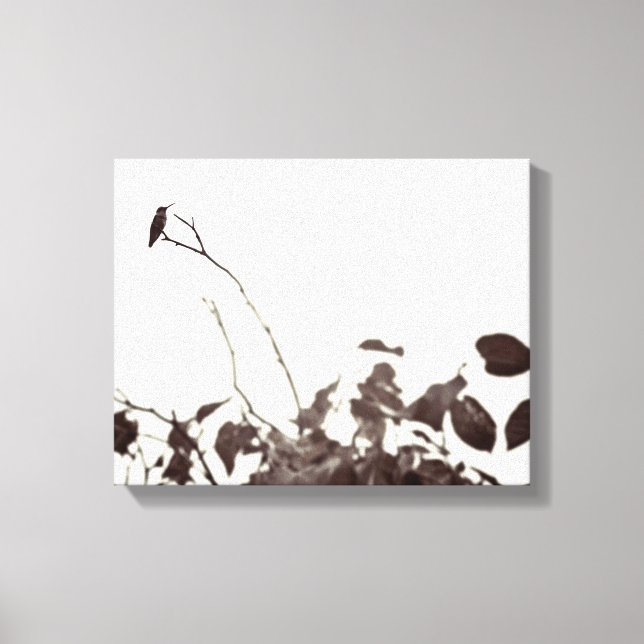 Hummingbird 14x11 Lienzo envuelto (Anverso)