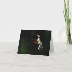 Hummingbird #2 con gotas de goma - Tarjeta de nota