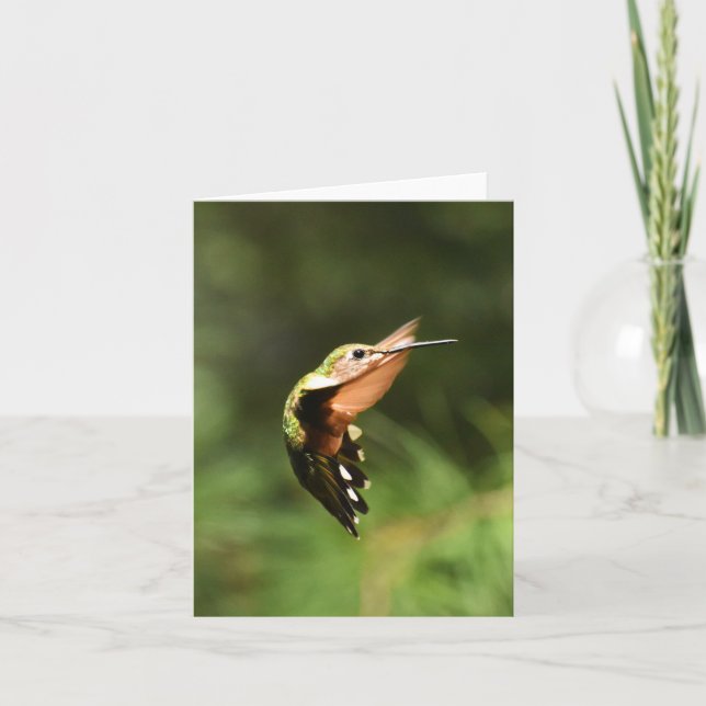 Hummingbird #5 - Tarjeta de nota en blanco, con go (Anverso)