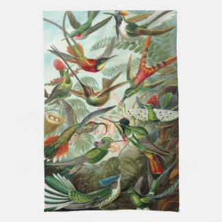Hummingbird American MoJo Kitchen Toalla