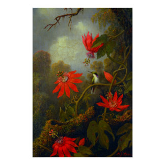Hummingbird and Passionflowers (1875) Poster