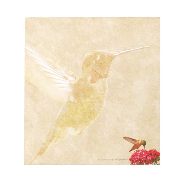 Hummingbird - Bloc de notas pequeño/almohadilla de (Frente)