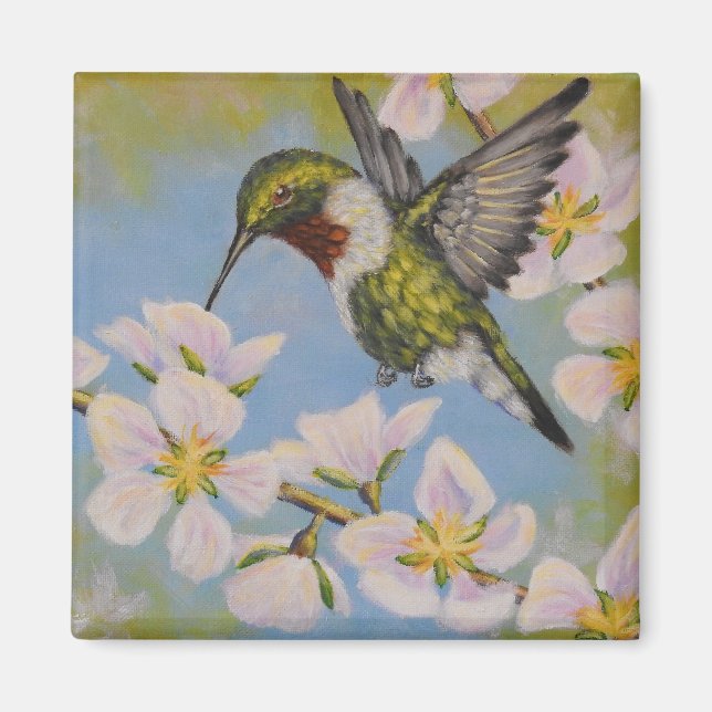 Hummingbird con trompetas de rubí - imán cuadrado (Frente)