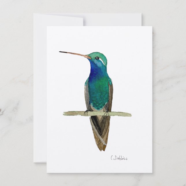 Hummingbird De Carne Grande En Una Rama (Anverso)