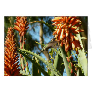 Hummingbird de color negro en vuelo