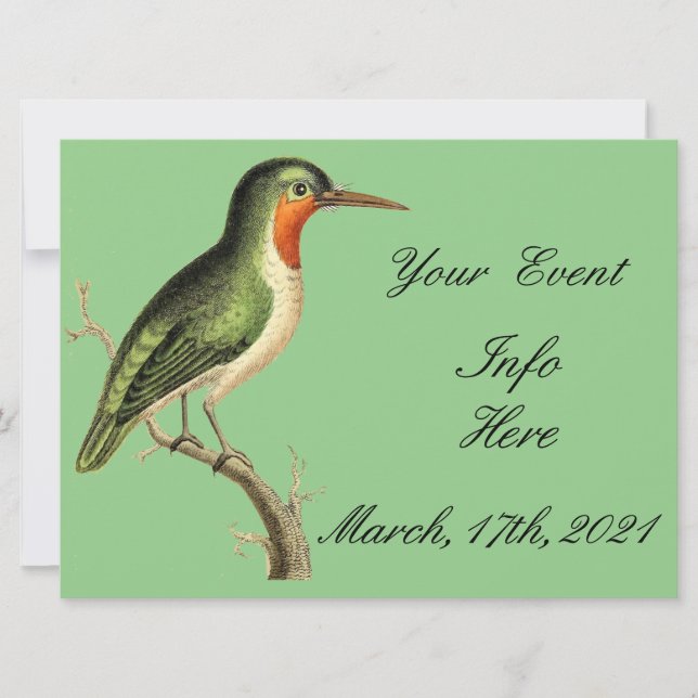 Hummingbird en Branch Thunder_Cove (Anverso)