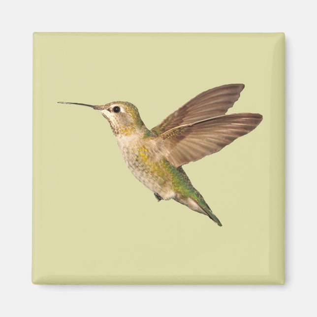 Hummingbird En El Imán De Vuelo (Frente)