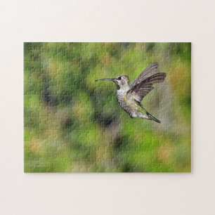 Hummingbird en el rompecabezas del vuelo