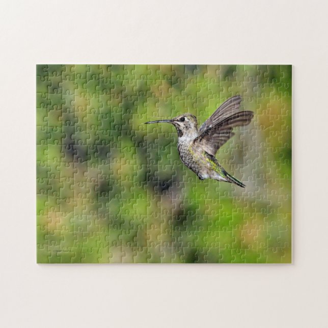 Hummingbird en el rompecabezas del vuelo (Horizontal)