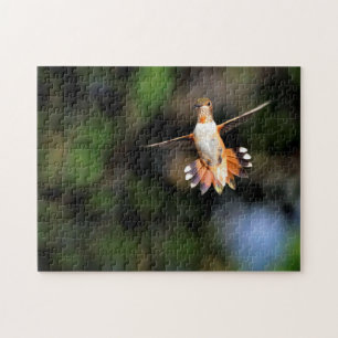 Hummingbird en el rompecabezas del vuelo