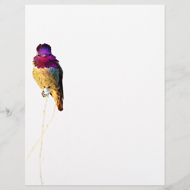 Hummingbird Fotografía de Anna con membrete (Anverso)