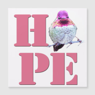 Hummingbird Fotografía magnética de HOPE Pink Anna
