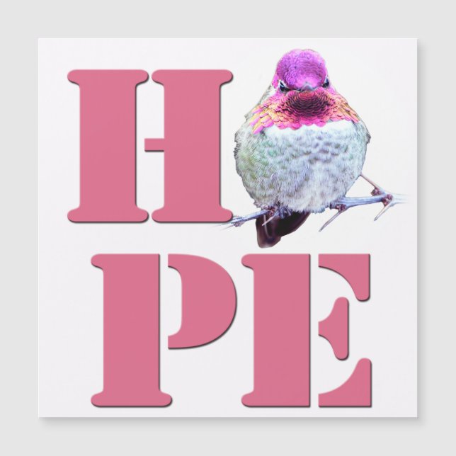 Hummingbird Fotografía magnética de HOPE Pink Anna (Anverso)