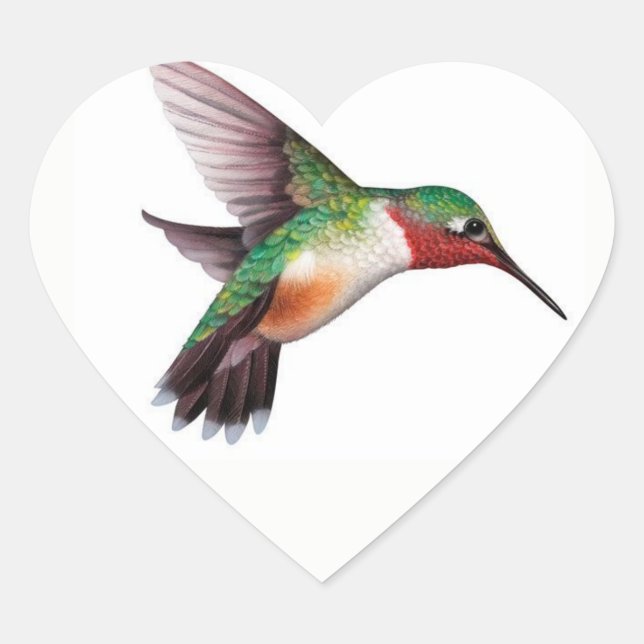 Hummingbird Heart Pegatina (Anverso)