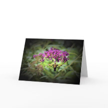 Hummingbird Moth, tarjeta