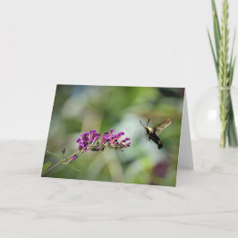 Hummingbird Moth, tarjeta