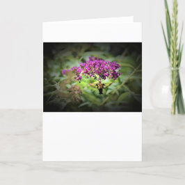 Hummingbird Moth, tarjeta