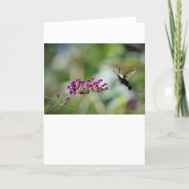 Hummingbird Moth, tarjeta