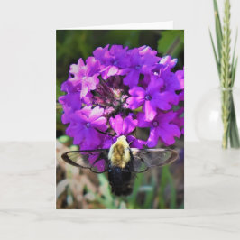 Hummingbird Moth & Verbena, tarjeta