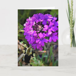 Hummingbird Moth & Verbena, tarjeta