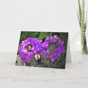 Hummingbird Moth & Verbena, tarjeta