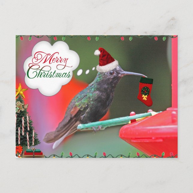 Hummingbird navidad (Anverso)