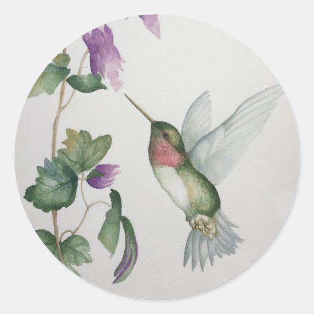 Hummingbird Round Pegatina (Anverso)