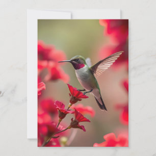 Hummingbird - Tarjeta de saludo plana
