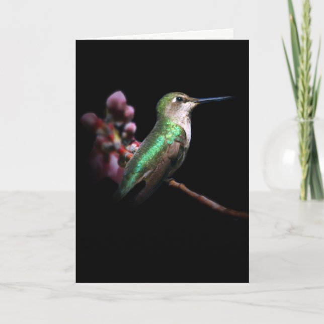 Hummingbird y Flores pensando en tu tarjeta (Anverso)