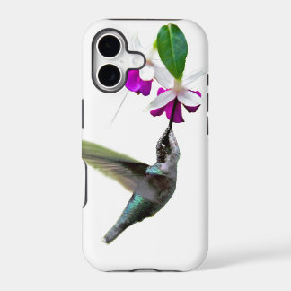 Hummingbird y Fuschia